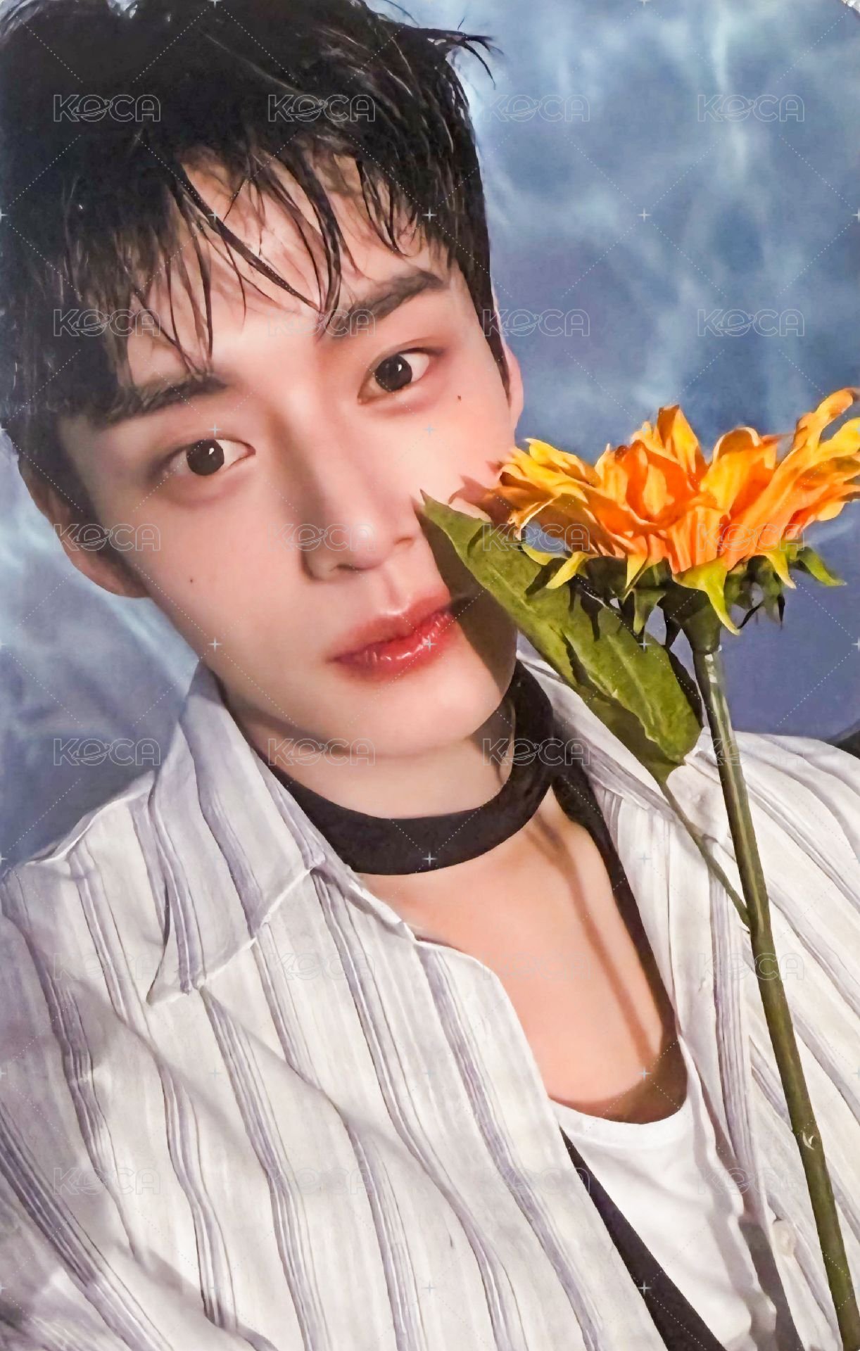 迷三快閃 周邊卡 立牌卡 正面