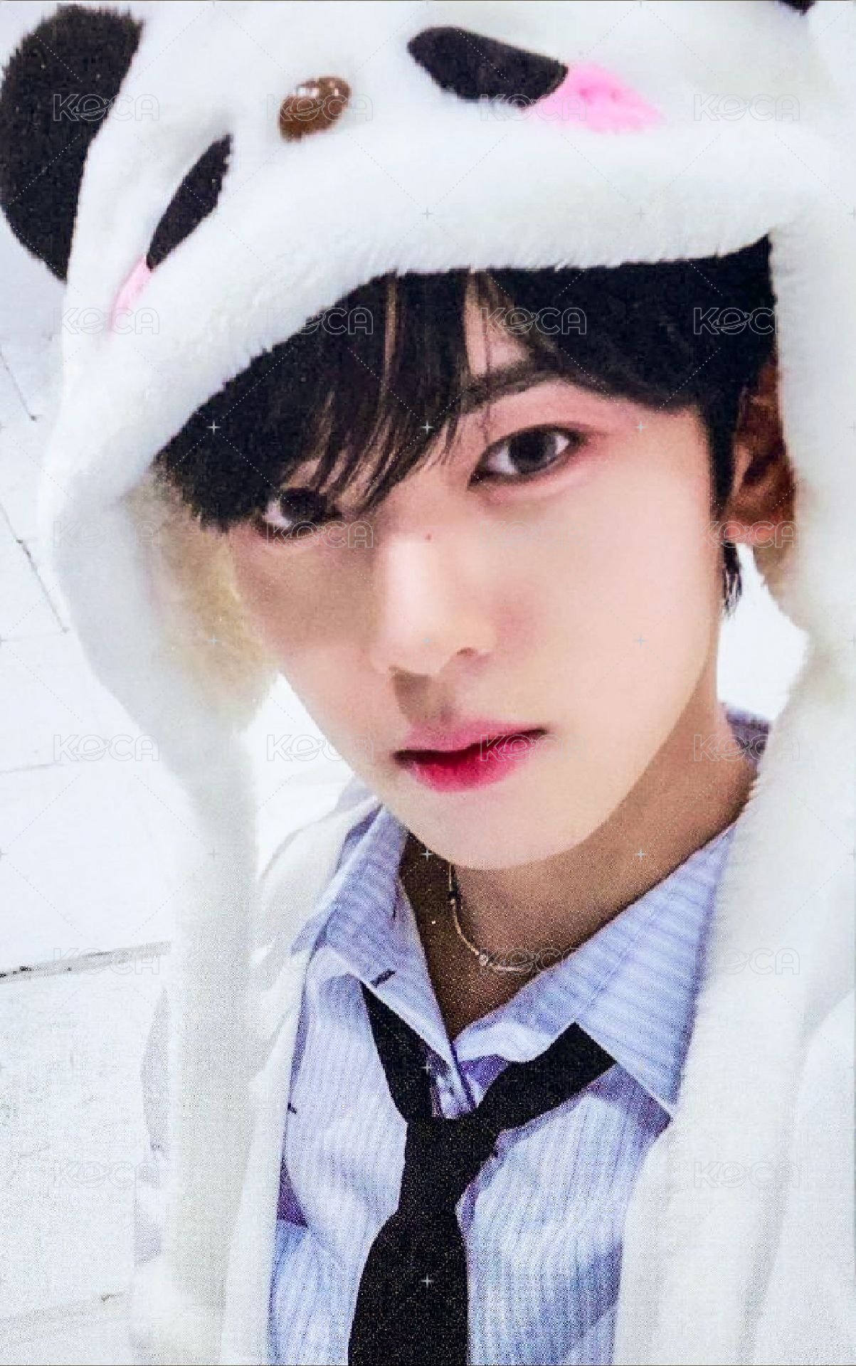 迷一 ms 2.0 特典卡 熊貓 ver. 正面