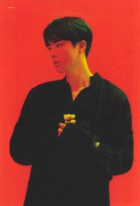 MOTS概念書 周邊卡 透卡 Clue版 固卡