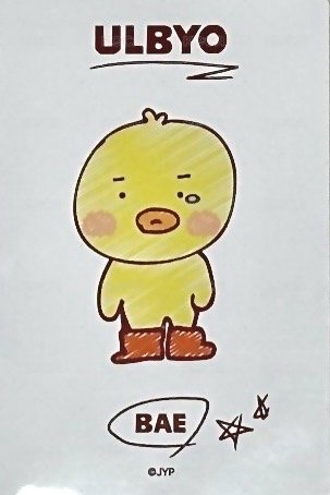 NSWER VACATION 周邊卡 卡冊卡 背面