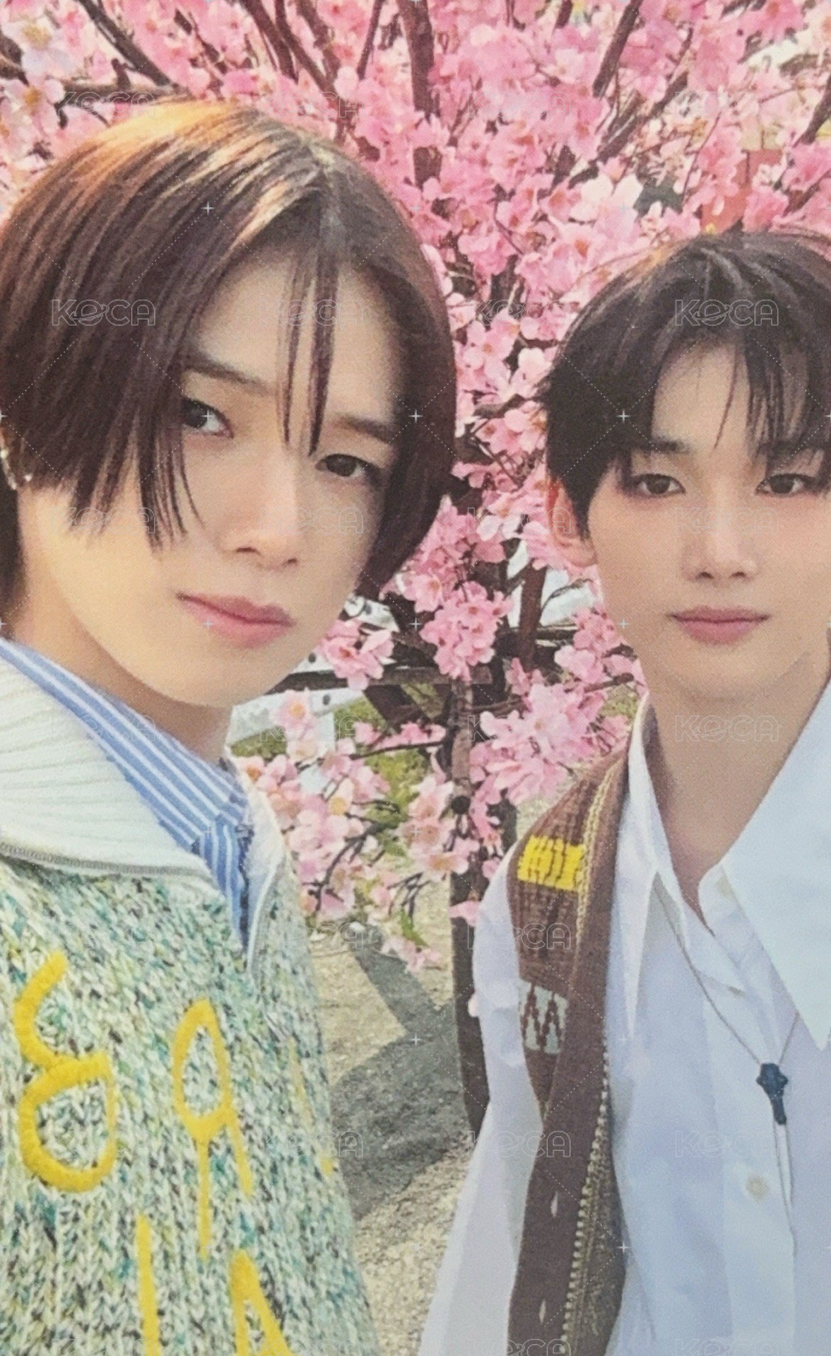 五月雨 (Samidare) 專輯卡 雙人小卡 K&JO 正面