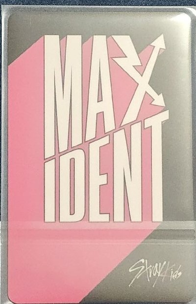 彬maxident sw 
