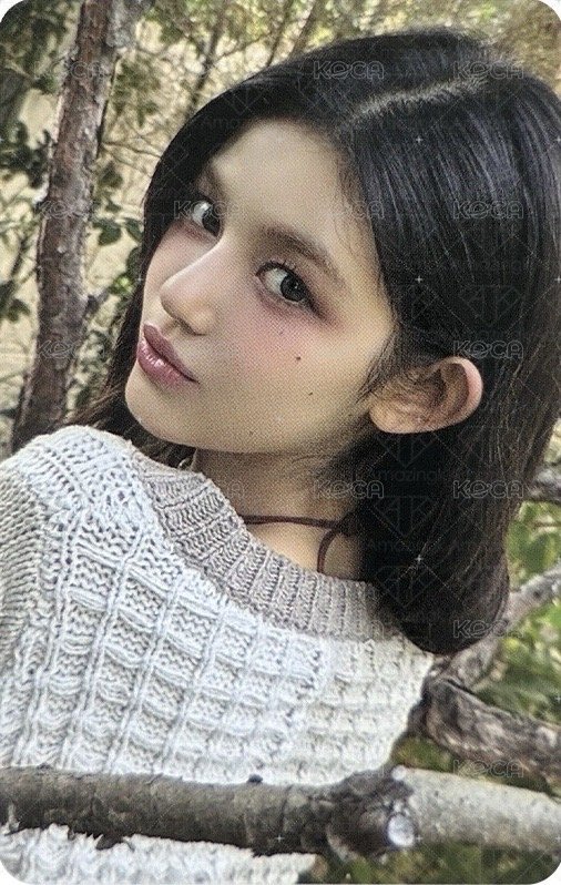 2024SG 年曆卡  正面