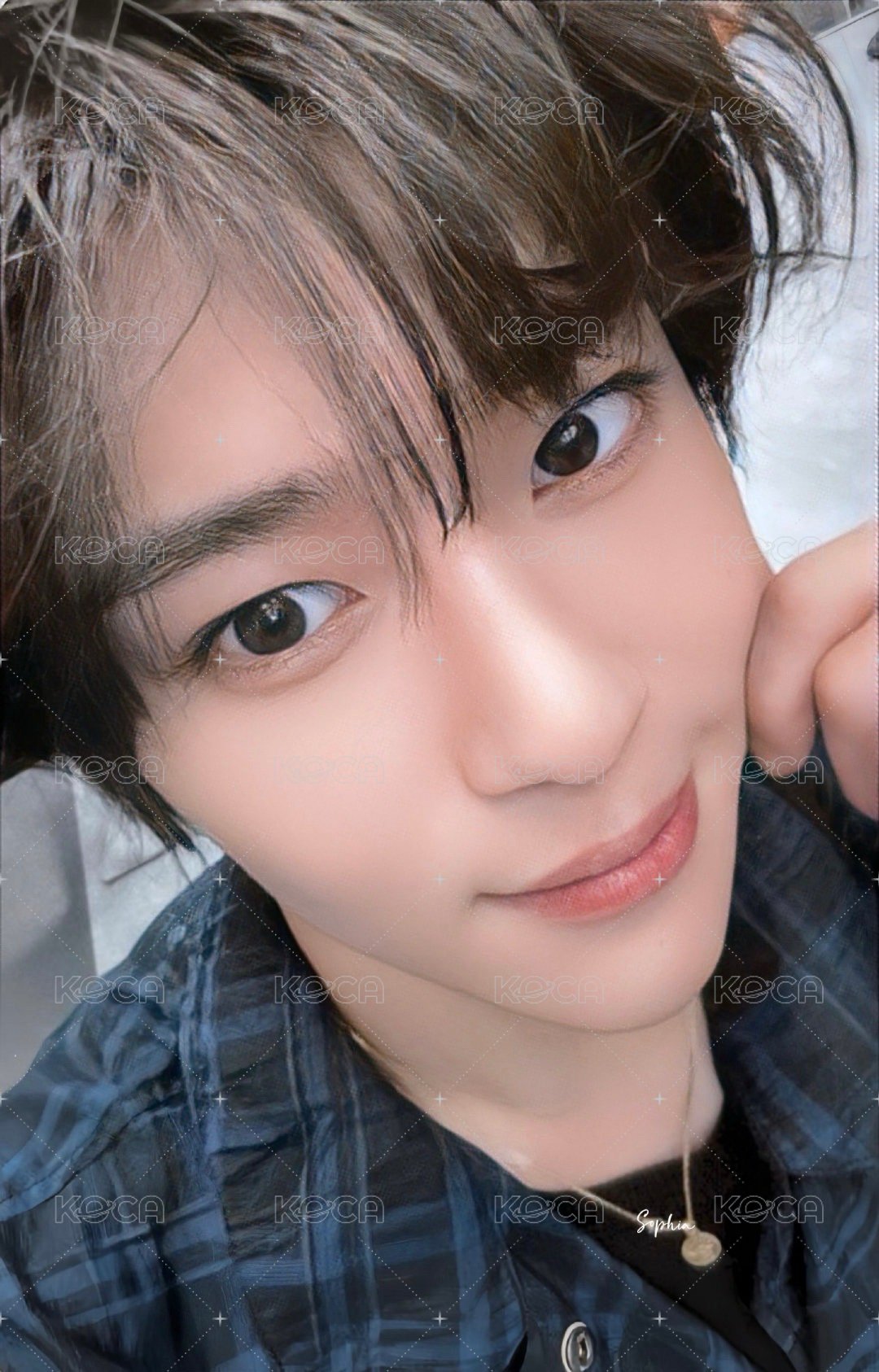 Steady el 特典卡  正面