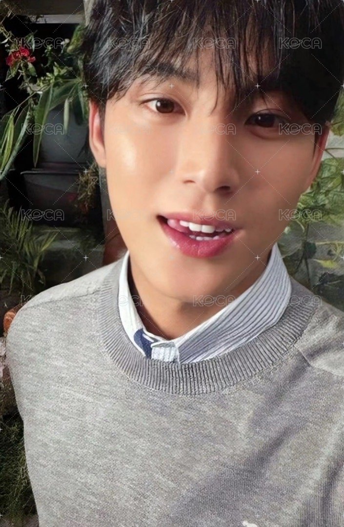 消費期限 專輯卡 ｜通常ver. 正面