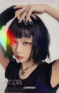 一巡 周邊卡 日本卡冊冬