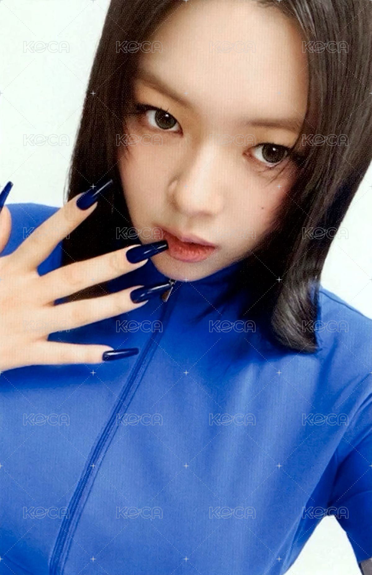 正規四 wm 預售 特典卡  正面