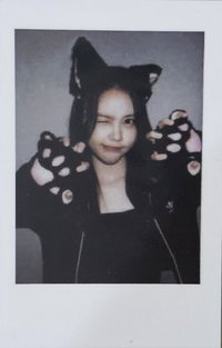 數單一 el 2.0 幸運卡 拍立得