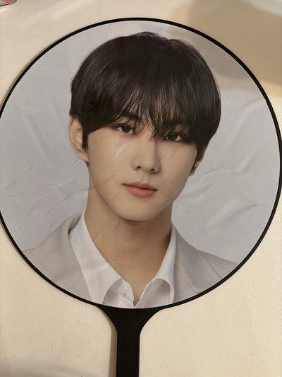 梁禎元 日巡王扇