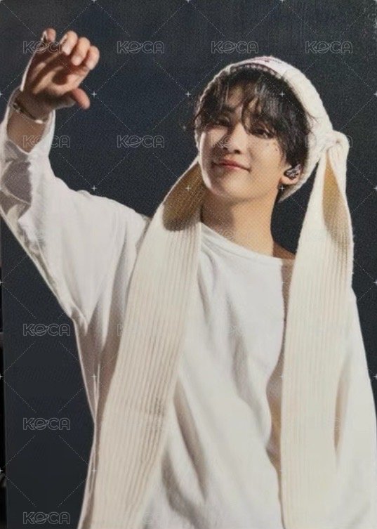 FOLLOWFELLOW 周邊卡 展會卡 垂耳兔 正面