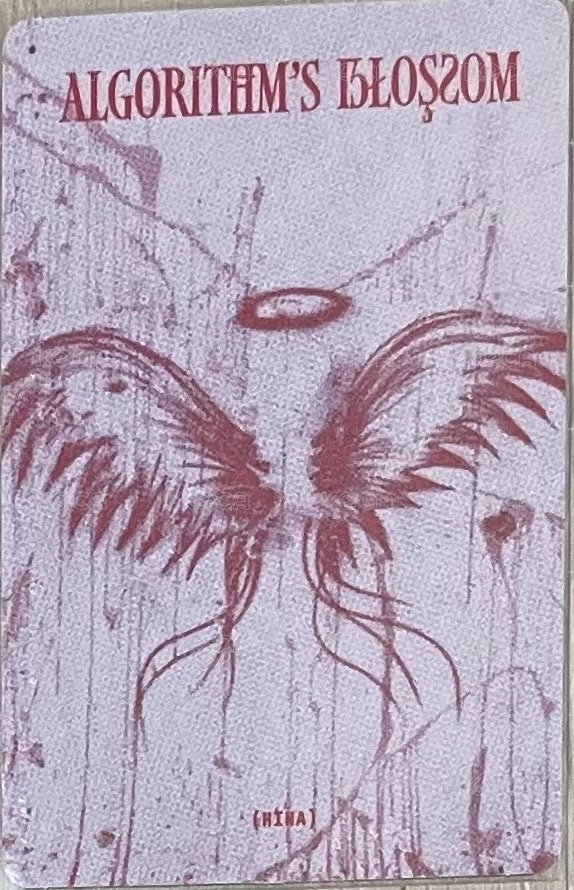 迷二 專輯卡 迷二 D版娜 背面