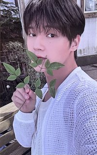 2024夏寫 KQ 特典卡 