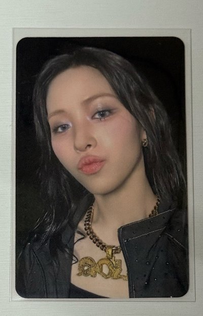 申留眞 超讚中文卡背 星河特典 摸摸小貓頭🫳🏻