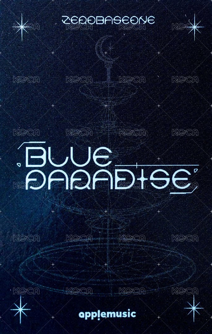 迷五 am 特典卡 兔帽ver. 背面