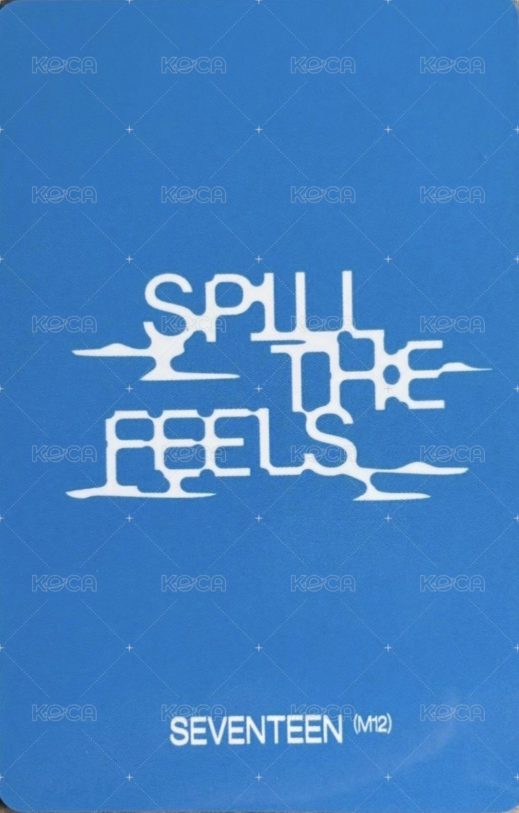 MINI12 yzy final ver. 特典卡  背面