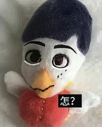皮皮