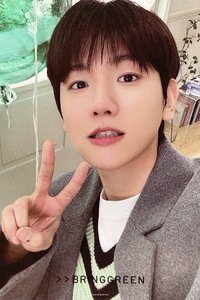 bgreen小卡 代言卡 