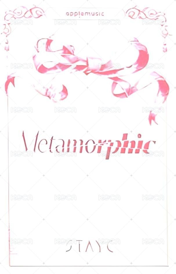 正規一 am 1.0 特典卡  背面