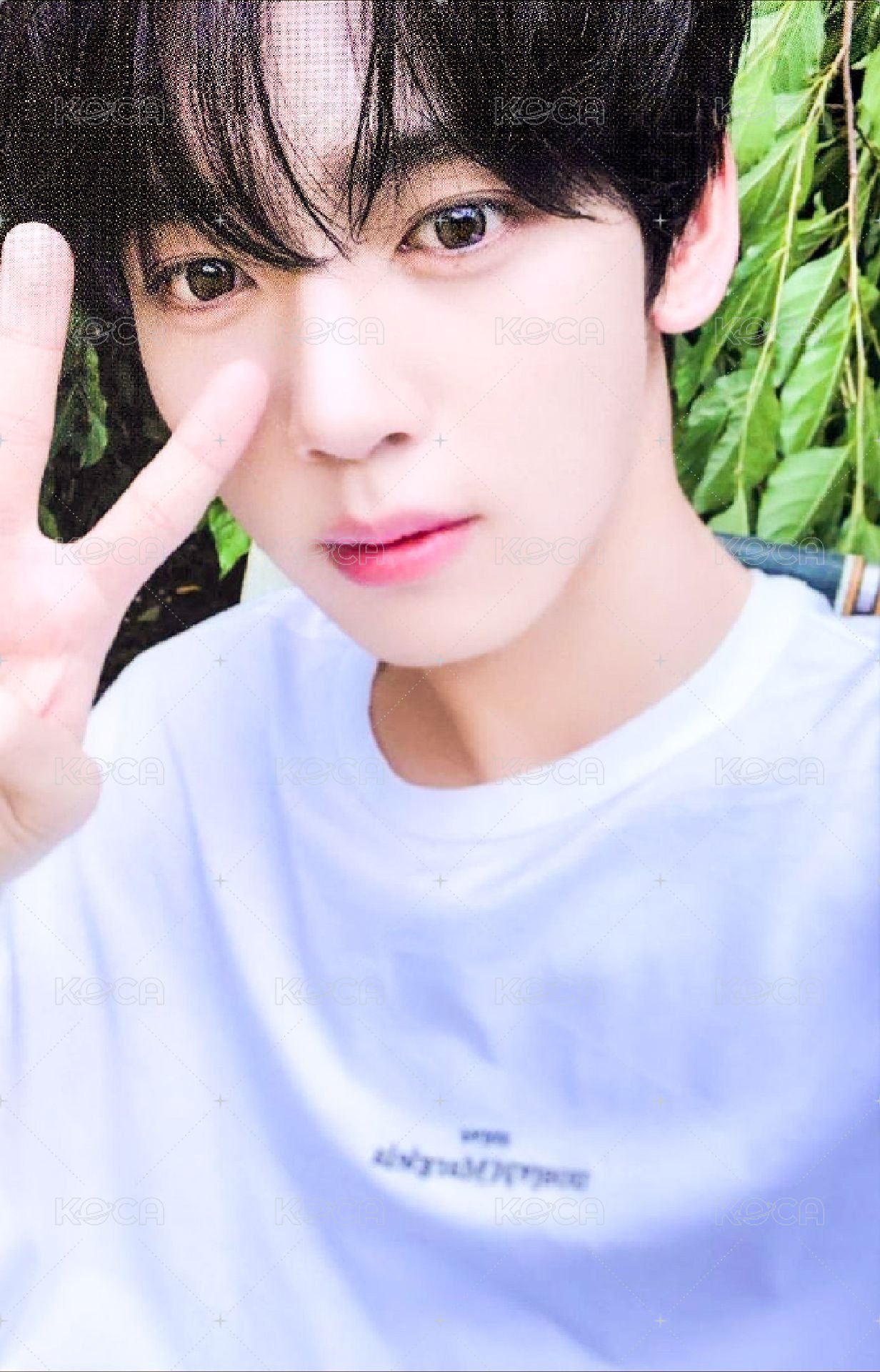 迷四 專輯卡 ZEROSE ver. 正面