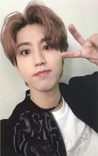 MAXIDENT 蝦皮 特典卡 