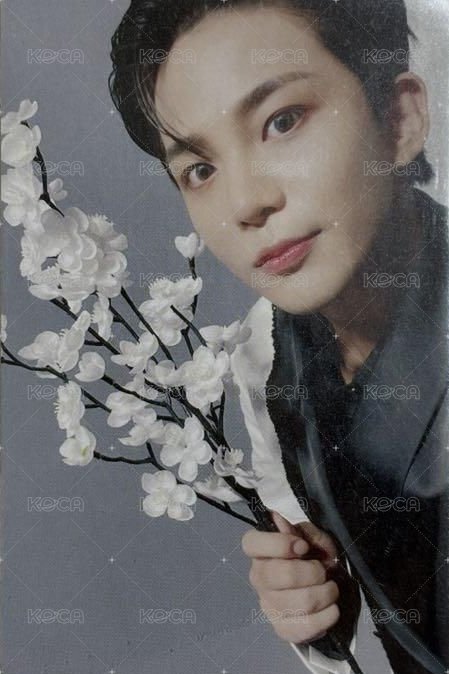 FEVER pt.3 wonderwall 1.0 簽售卡  正面