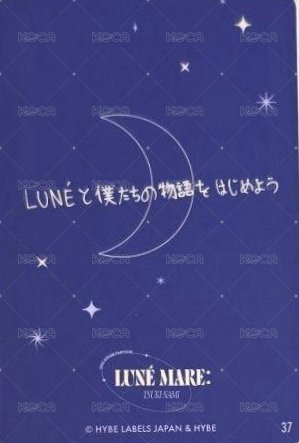 月波 隨機卡  背面