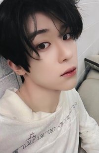 Steady yzy 特典卡 預售