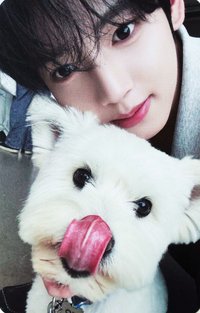 正規一 專輯卡 團封 狗狗ver.