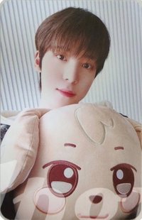 ANITEEZ IN ICE CITY 周邊卡 plush cushion