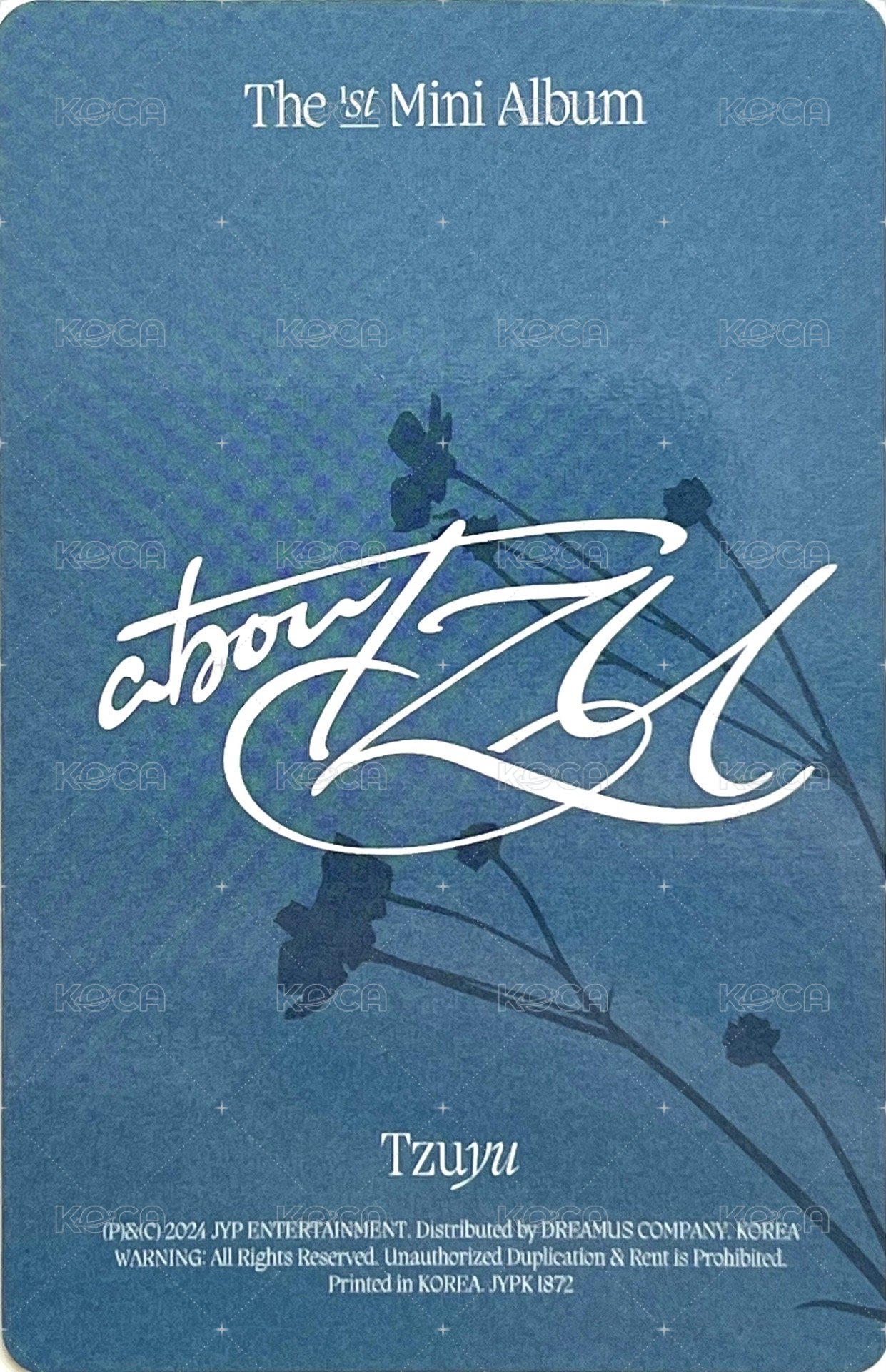 aboutTzu  專輯卡 Platform Nemo Ver. 背面