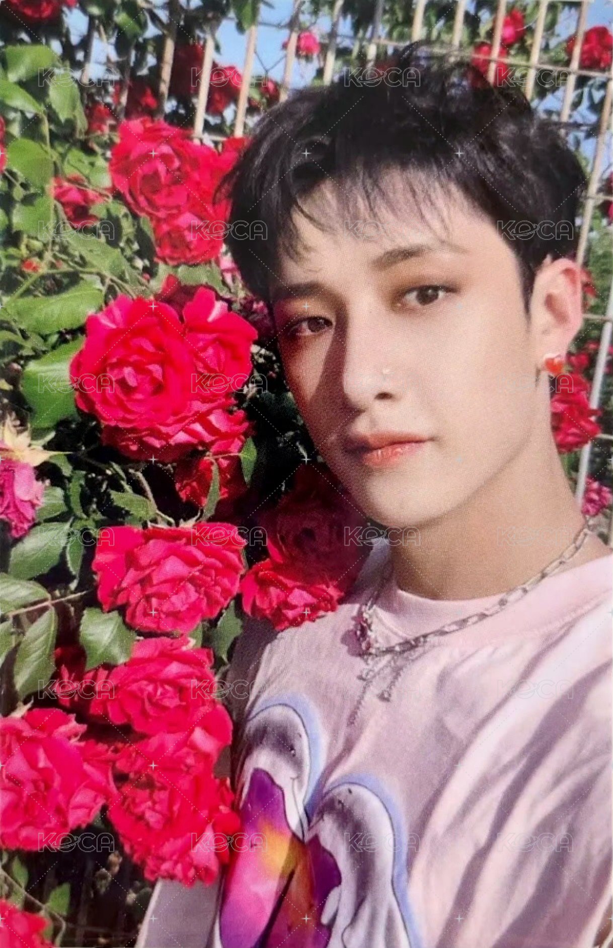 MAXIDENT yes24 特典卡  正面