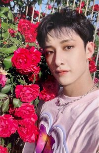 MAXIDENT yes24 特典卡 