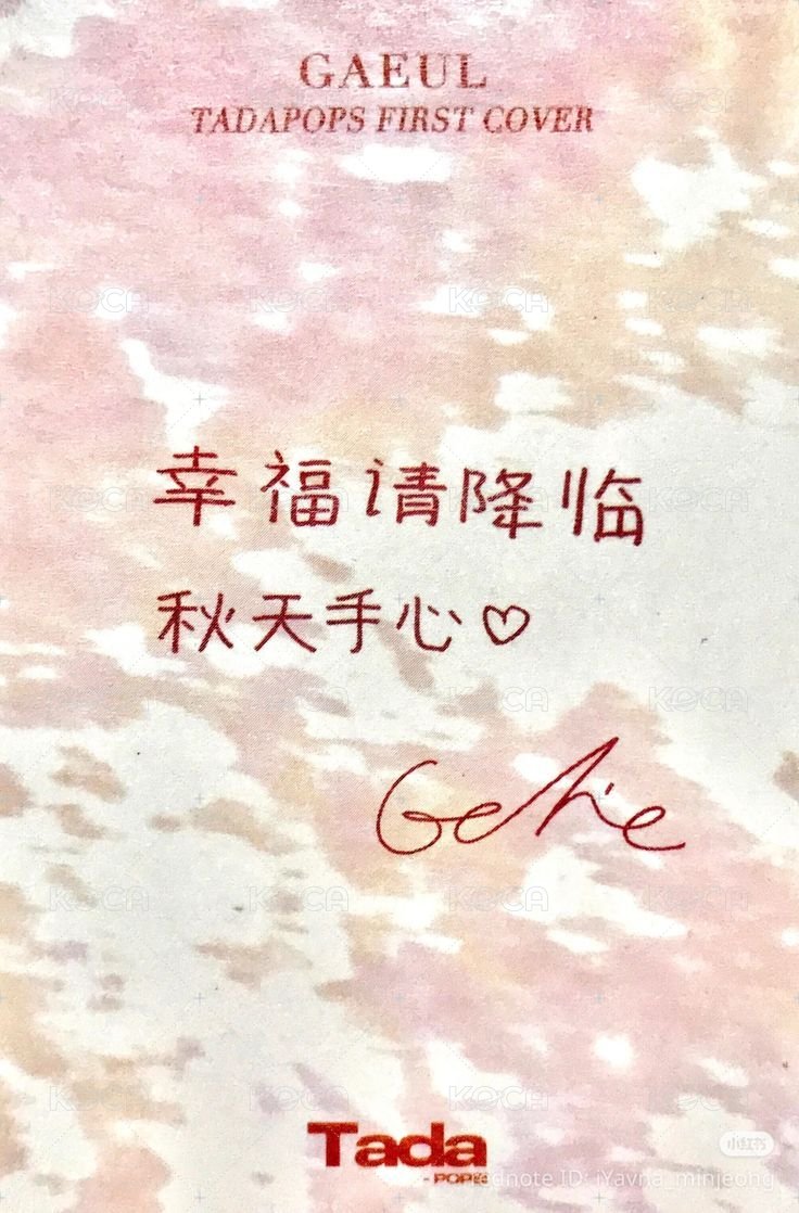 TadaPOPs 雜誌卡  背面