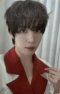 ANITEEZ IN THE CALLING 周邊卡 WINDBREAKER JACKET