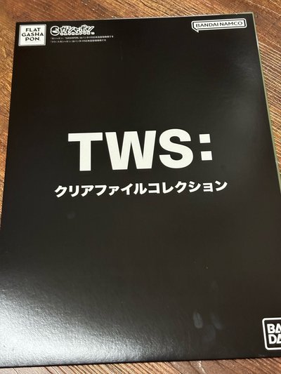 TWS 扭蛋盲盒資料夾 志薰