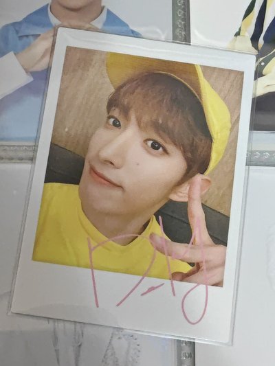 2020蛋巡隨機卡 碩