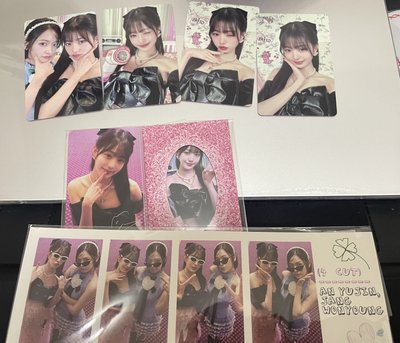 DICON 雜誌 B版 張員瑛Ver.