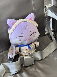 笨狗🐈🐈‍⬛🦮🐩