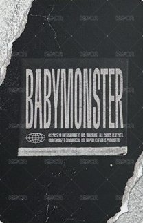 一期會員禮 wvs 會員禮開箱 抽選卡  背面