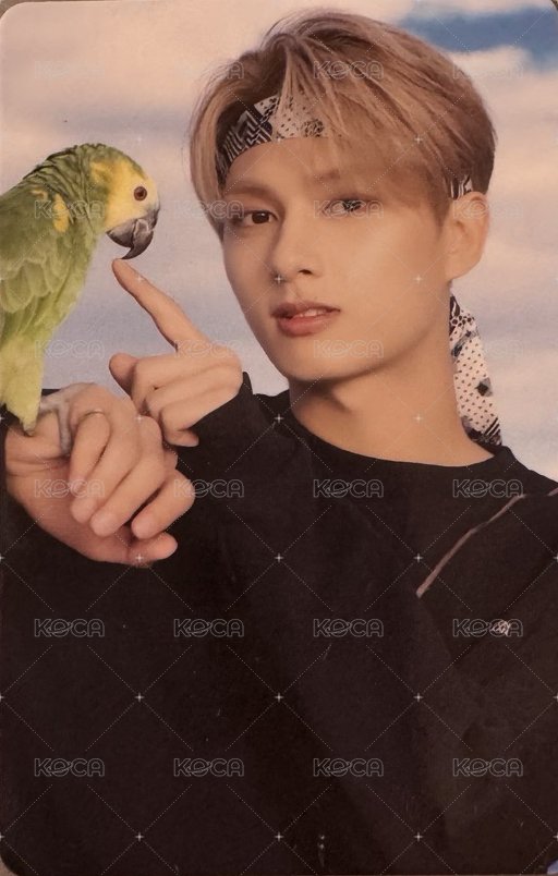 22’D社 D社 周邊卡 22’｜卡冊固卡 正面