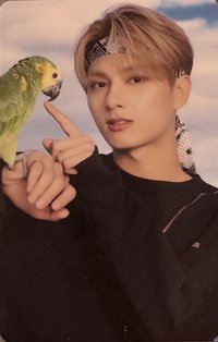 22’D社 D社 周邊卡 22’｜卡冊固卡