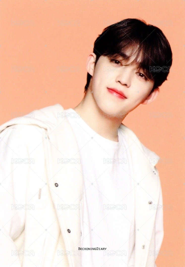 FOLLOW AGAIN 隨機卡 ｜日巡卡包 正面