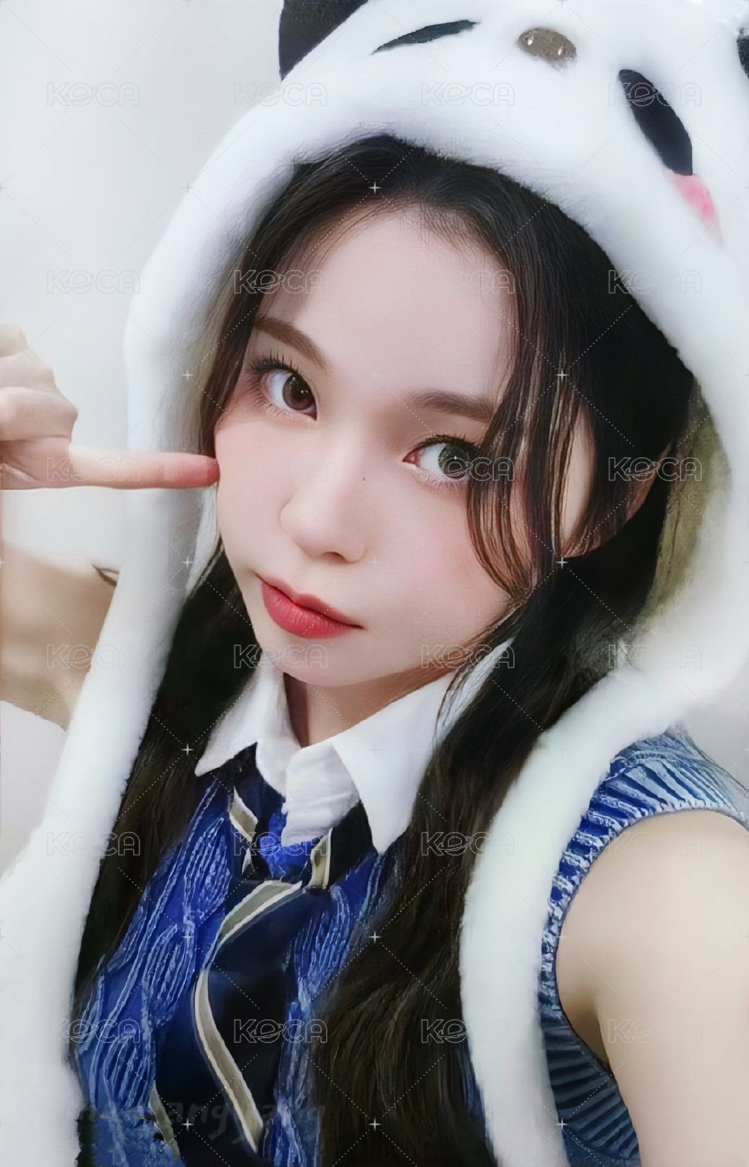 expérgo ms 幸運卡 2.0 熊貓圭 正面