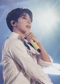 FOLLOW FELLOW 隨機卡 