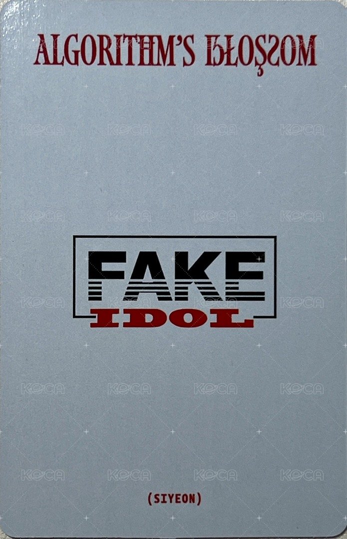 迷二 專輯卡 迷二 B版燕 背面