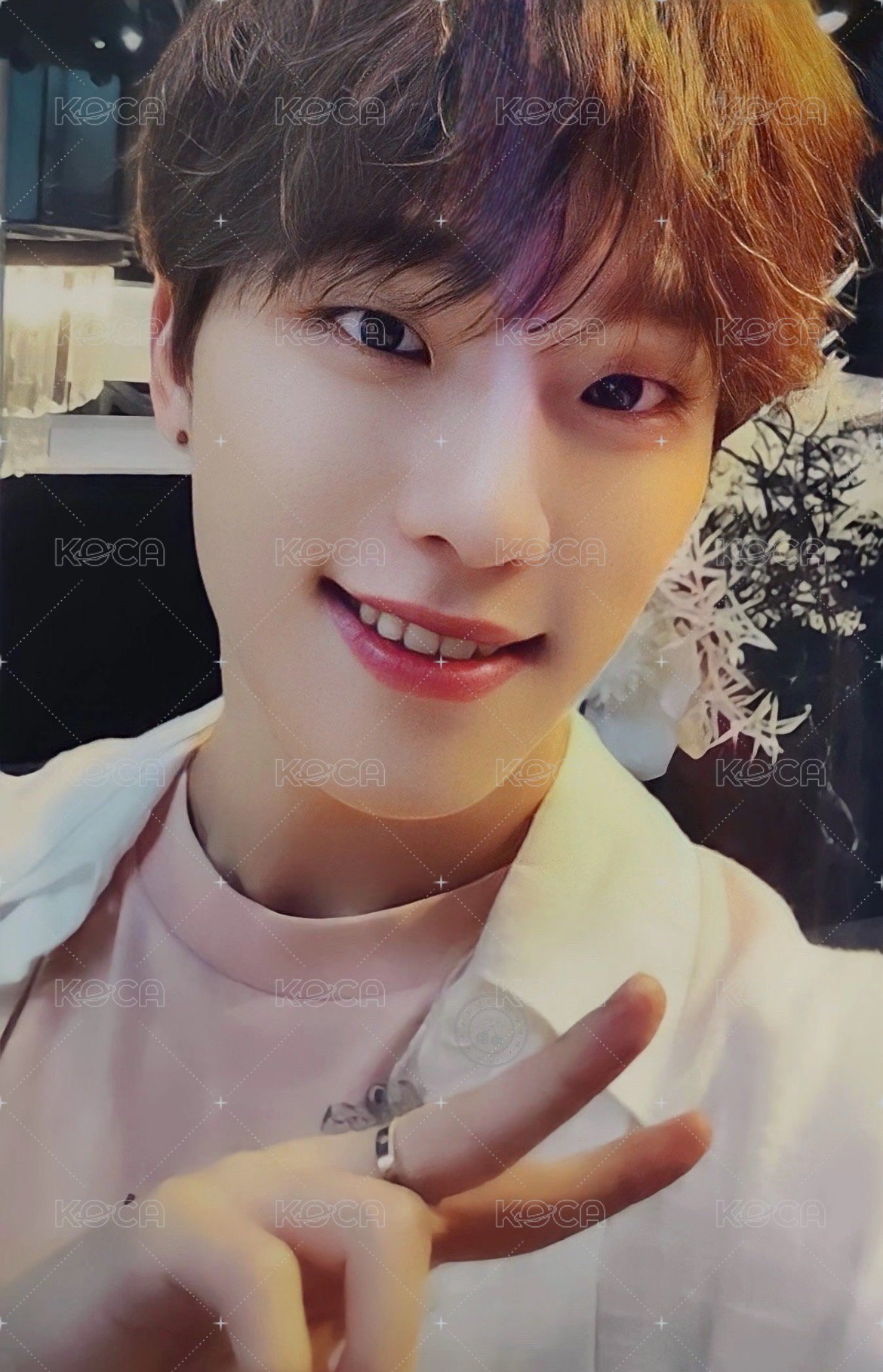 正四後續 ONINN ASIA 簽售卡 正規四後續｜台閃1.0 正面