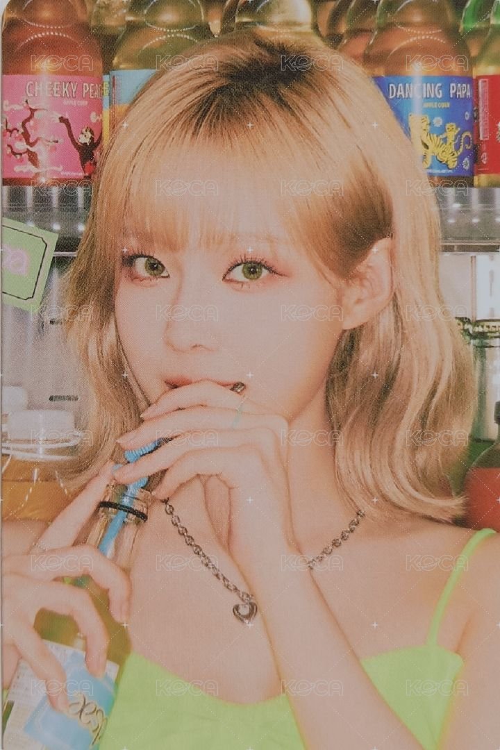 2022fm 周邊卡 相框冬 綠衣冬 正面