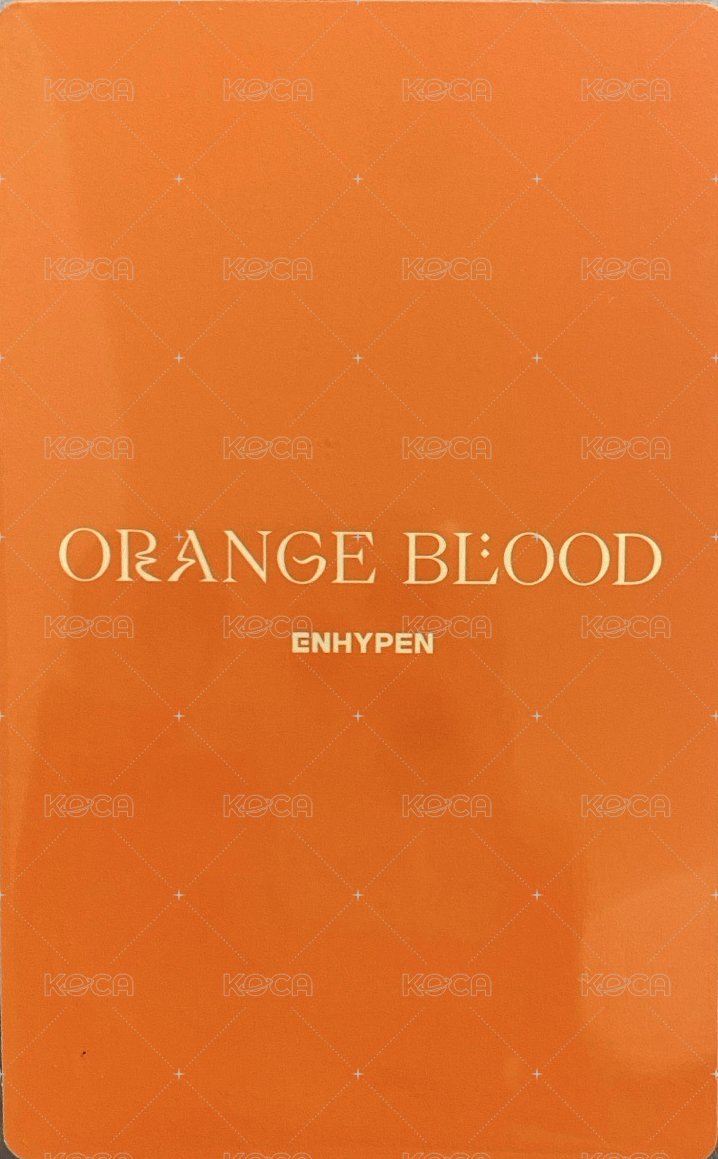 迷五 專輯卡 ENGENE ver. 背面