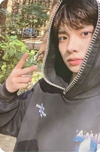 迷一 wvs 特典卡 