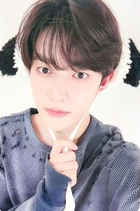 迷五 ms 幸運卡 小狗 ver.